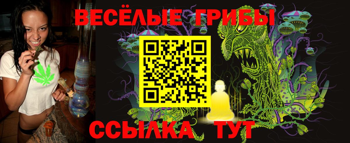 Галлюциногенные грибы ЛСД  Вход с VPN  Дивногорск 