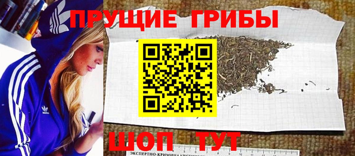 Галлюциногенные грибы Psilocybine cubensis Дивногорск